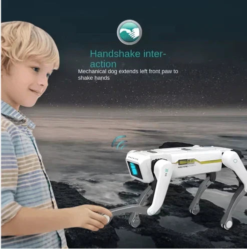 Smart Dog Multifunctional Toy